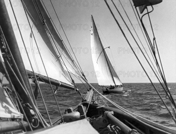 Sailing In Los Angeles Regatta