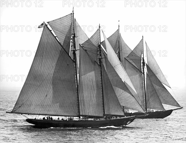 Thebaud Passes Bluenose