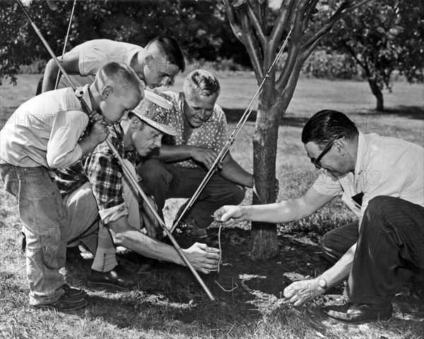 Digging Worms For Fishing