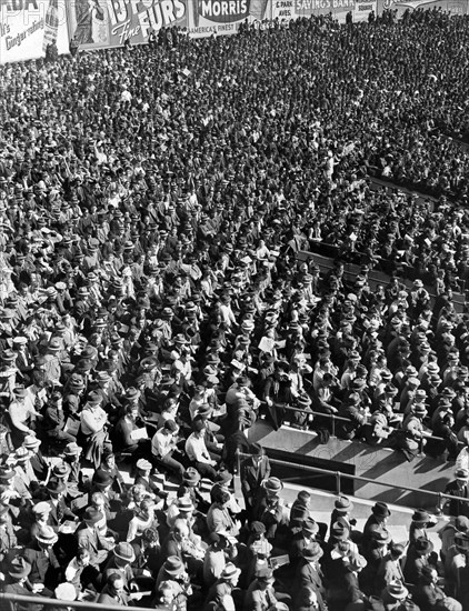 Some of the fans at Yankee Stadium in New York watching a baseba