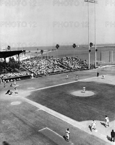 Baseball Spring Training