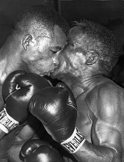 Two Boxers In A Clinch