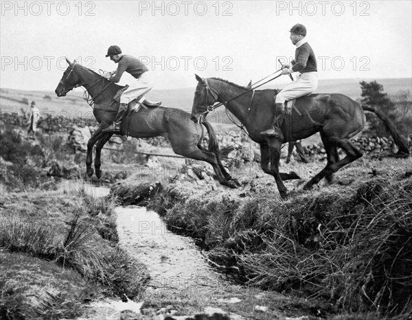 Horses Jumping A Creek