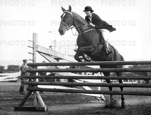 Horse Taking Jump