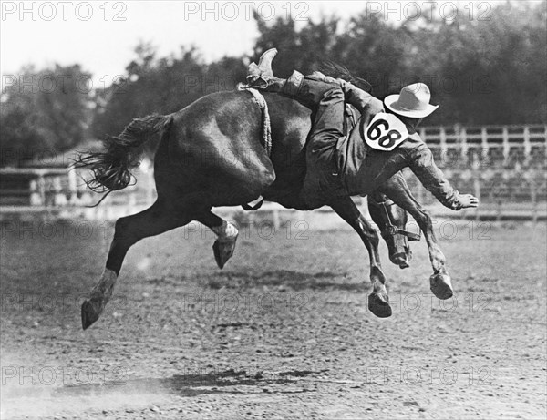 Bucked Off On Bronco Ride