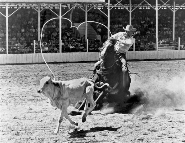 Rodeo Calf Roping