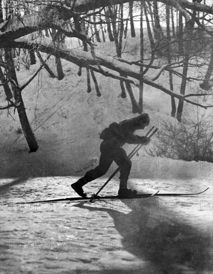 Moonlight Skiing In Russia