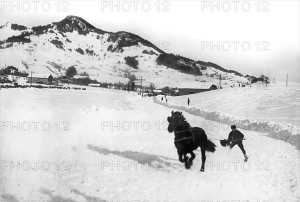 Skijoring In The Alps