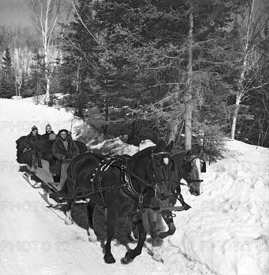 Taking A Sleigh Ride In Canada