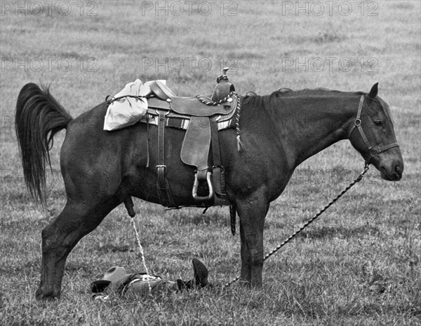 An unsuspecting cowboy grabs a catnap on the prairie while his horse stands by.