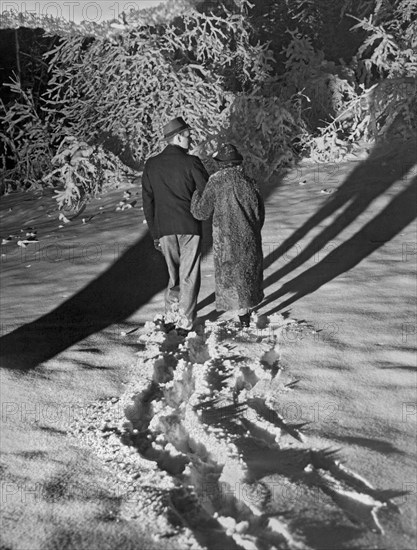 Wintertime Moonlight Stroll