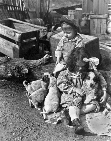 Children On Farm With Puppies