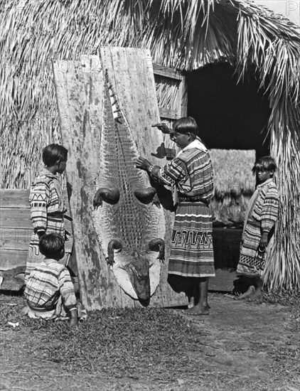 Seminole Dries Alligator Skin