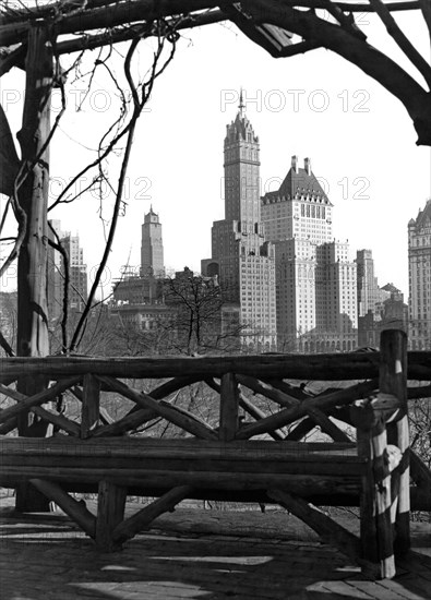 Hotels Seen From Central Park