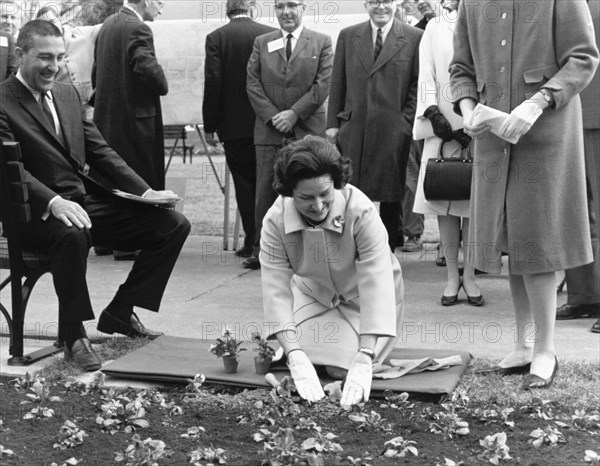 Lady Bird Johnson Planting