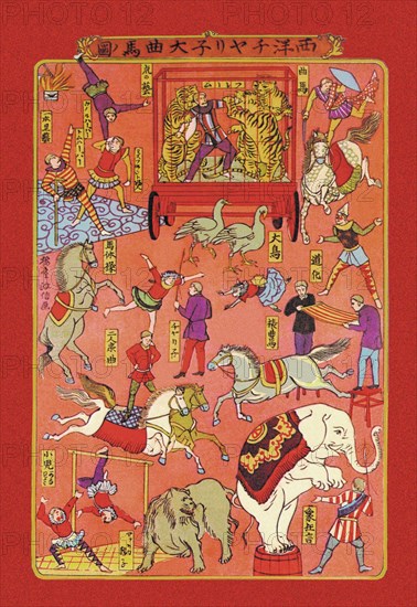 Circus - Animals and Performers