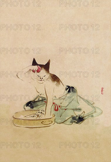 Japanese Cat Bathing