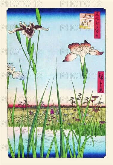 Iris Garden at Horikiri 1857