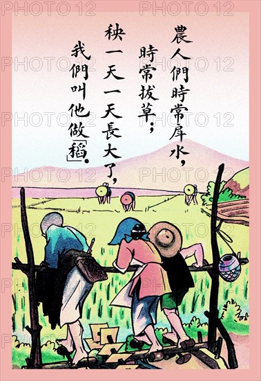 Plants Need Water to Grow 1923