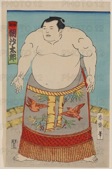 Sumo Wrestler 1850