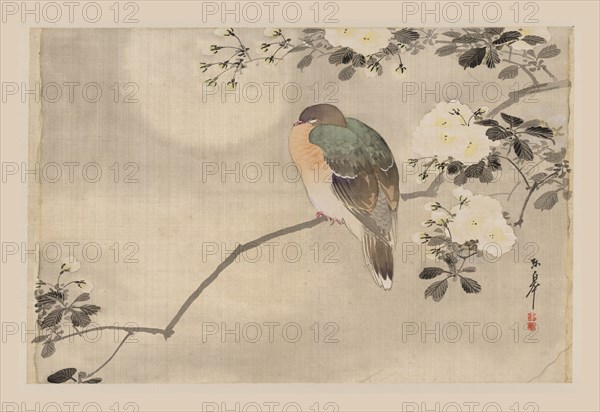 Bird and Cherry Blossoms 1850