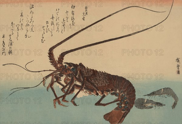 Shrimp and lobster (Ise ebi to shiba ebi) 1840