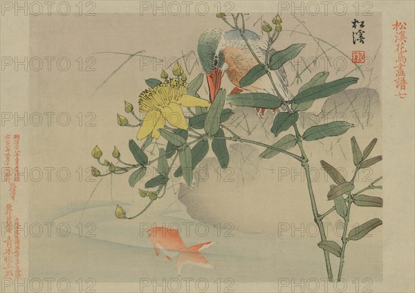 Kingfisher and Goldfish in Pond