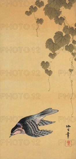 Small bird and grapes