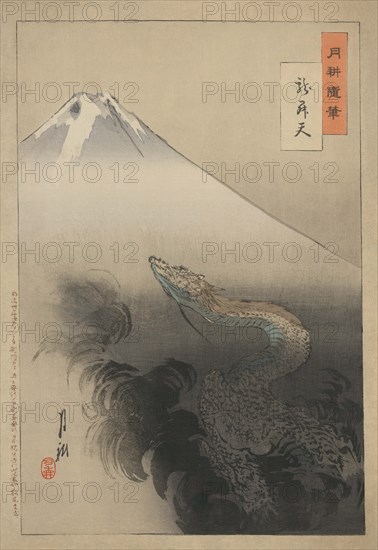 Dragon rising to the heavens 1897