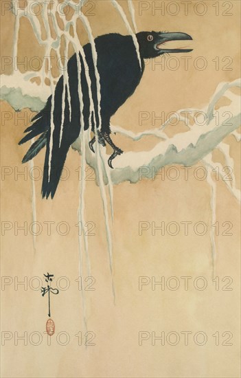 Blackbird in snow 1885