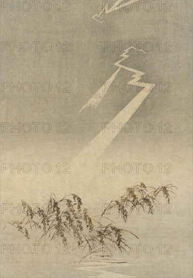 Thunder and lightning over rice grain 1900