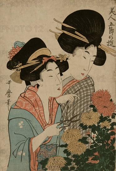 Two woman cut Chrysanthemums