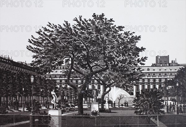 Paris, jardin du palais royal