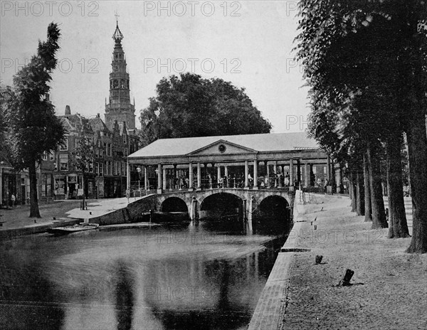 Koornbrugsteeg, in leiden