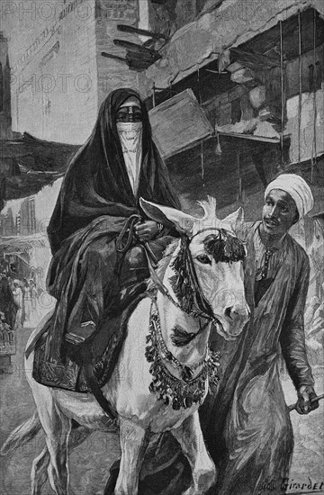 Female donkey rider in cairo