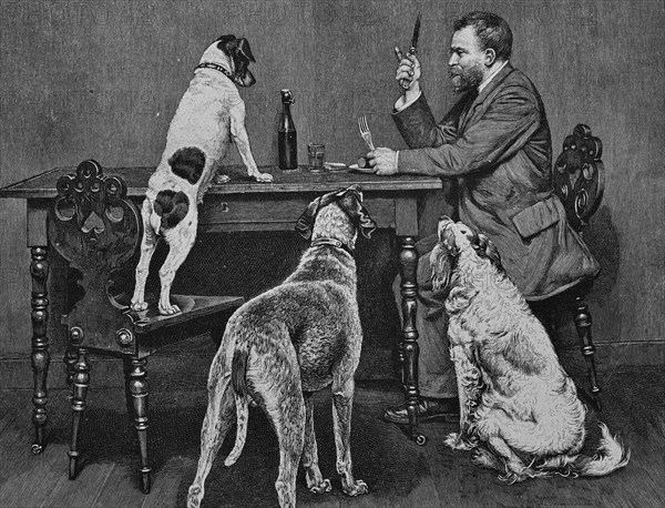 Dogs begging at the table