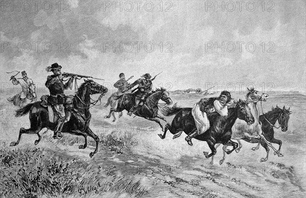 Pursuit of a horse thief