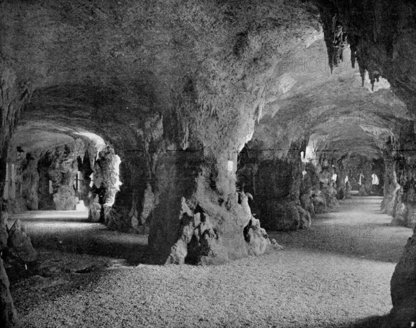 Underground aquarium du trocadero