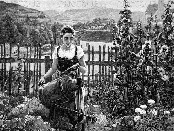 Woman watering plants