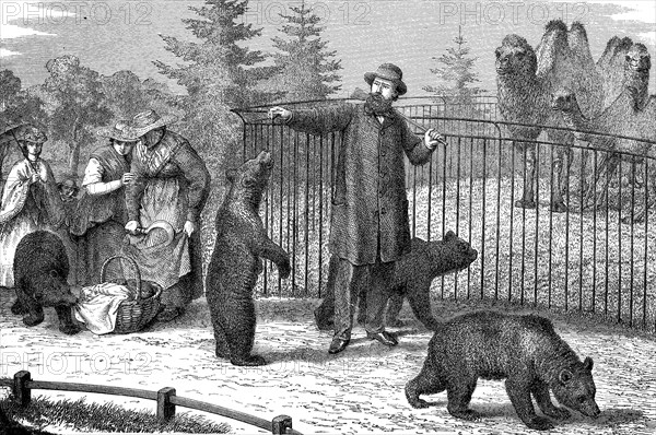 Walk in the zoo
