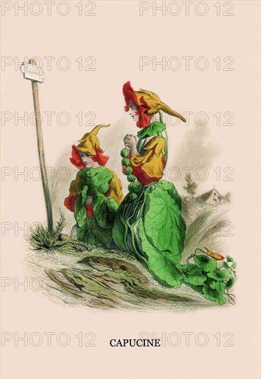 Capucine 1847