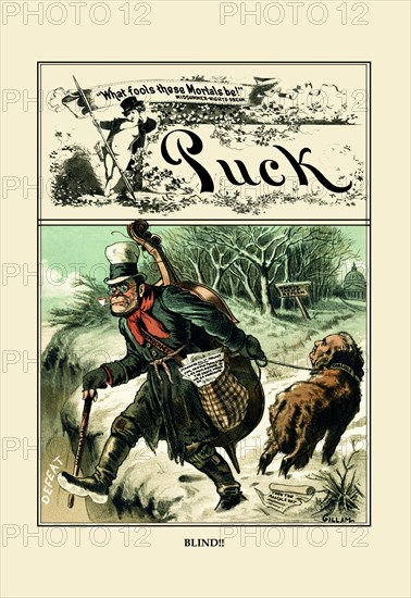 Puck Magazine: Blind!! 1884