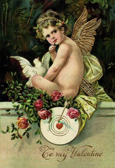 Angel Girl With Dove