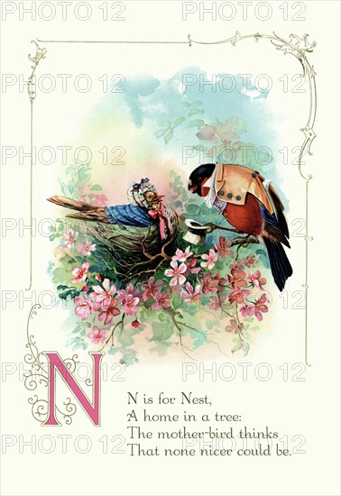 N is for Nest