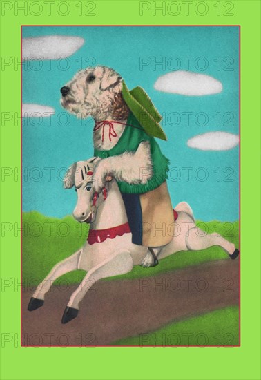 Dog on a Hobby Horse