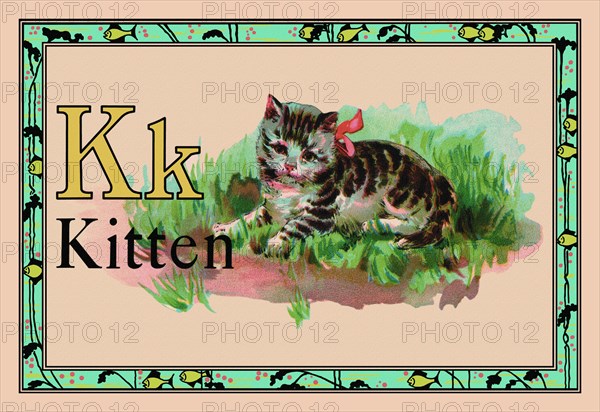 Kitten 1926