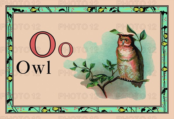 Owl 1926