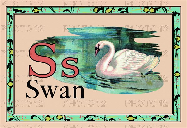 Swan 1926