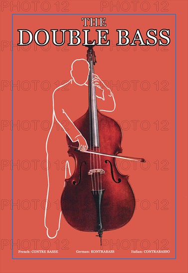 Double Bass