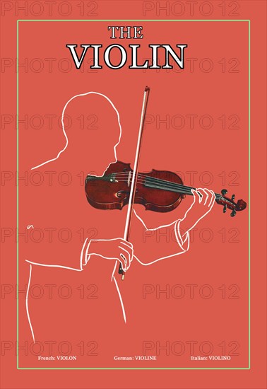 Violin